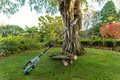 Ego Power plus PS1000E