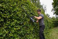 <b>hedgetrimmer_5128_netti</b><br>Ego Power plus HT6510E pensasleikkuri 65cm